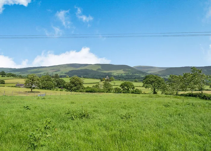 Hawkrigg * Барбон